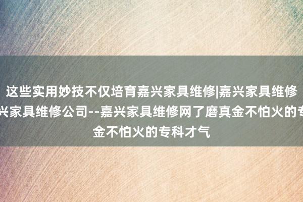 这些实用妙技不仅培育嘉兴家具维修|嘉兴家具维修电话|嘉兴家具维修公司--嘉兴家具维修网了磨真金不怕火的专科才气